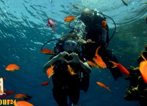 Дайвинг Красное море: лучшие впечатления и незабываемый отдых в Египте