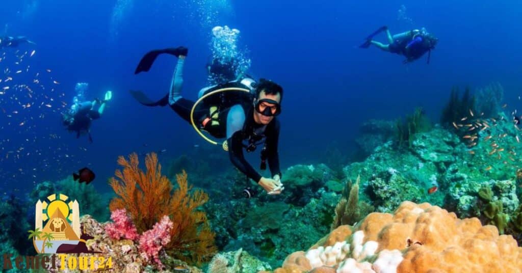 хургада туры