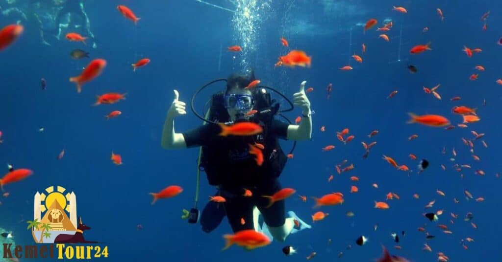 ночная жизнь Шарм-эль-Шейха