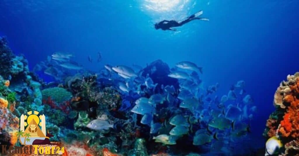 культурные экскурсии Египет